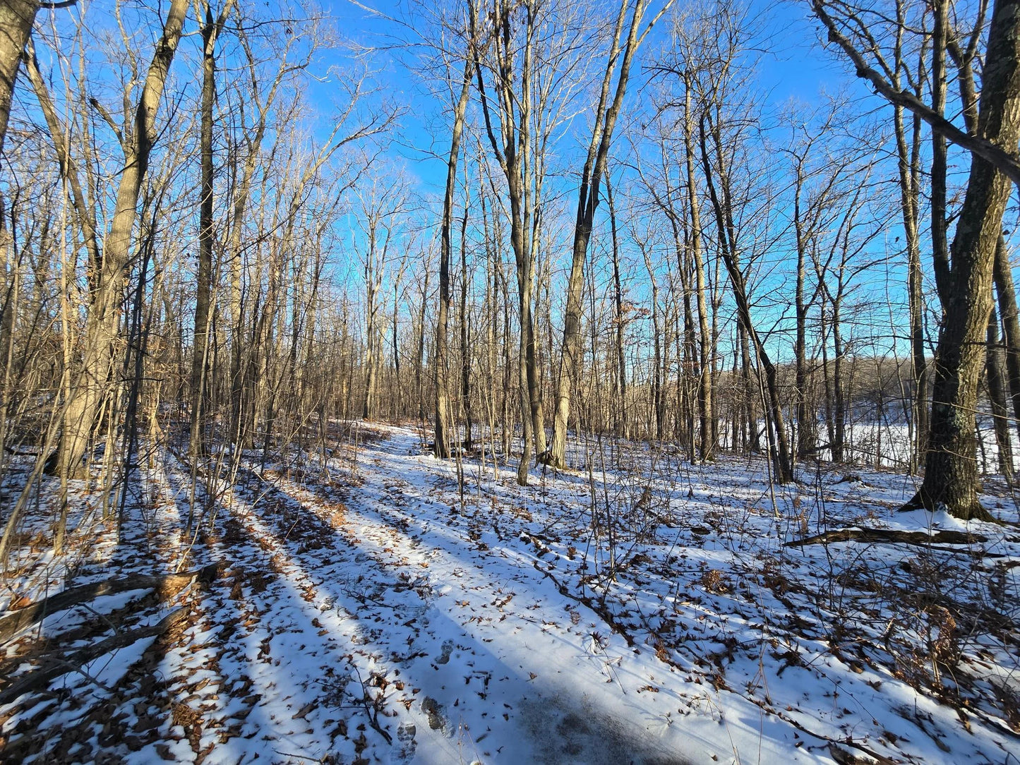 XXX Red Oak Drive, Garrison, MN 56450