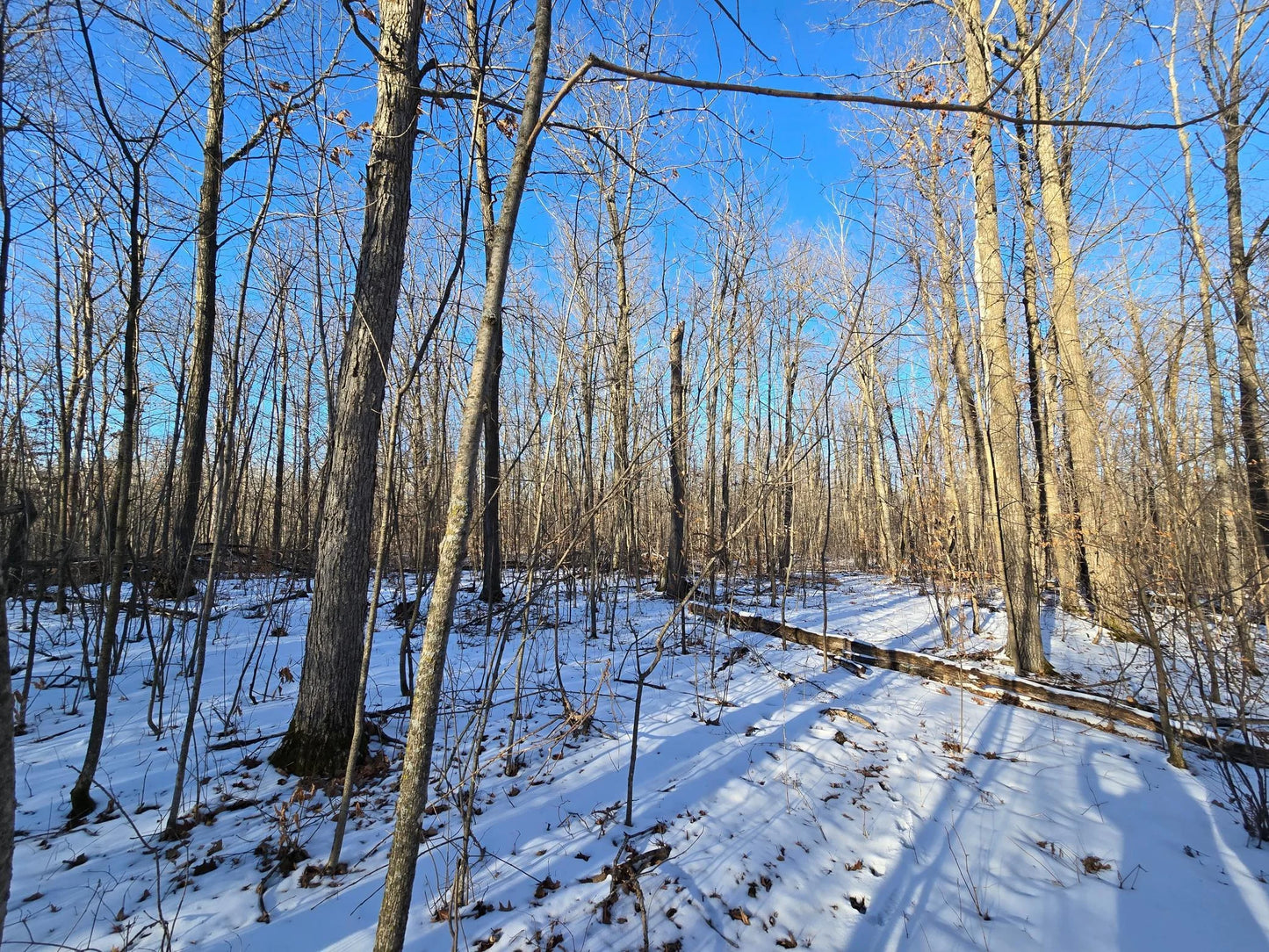XXX Red Oak Drive, Garrison, MN 56450