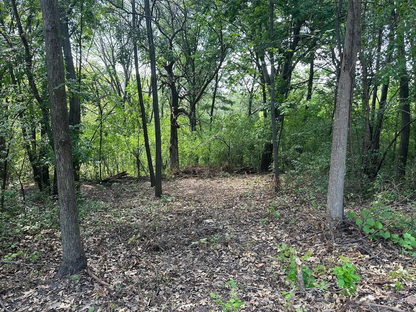195x Glenhill Road, Mendota Heights, MN 55118