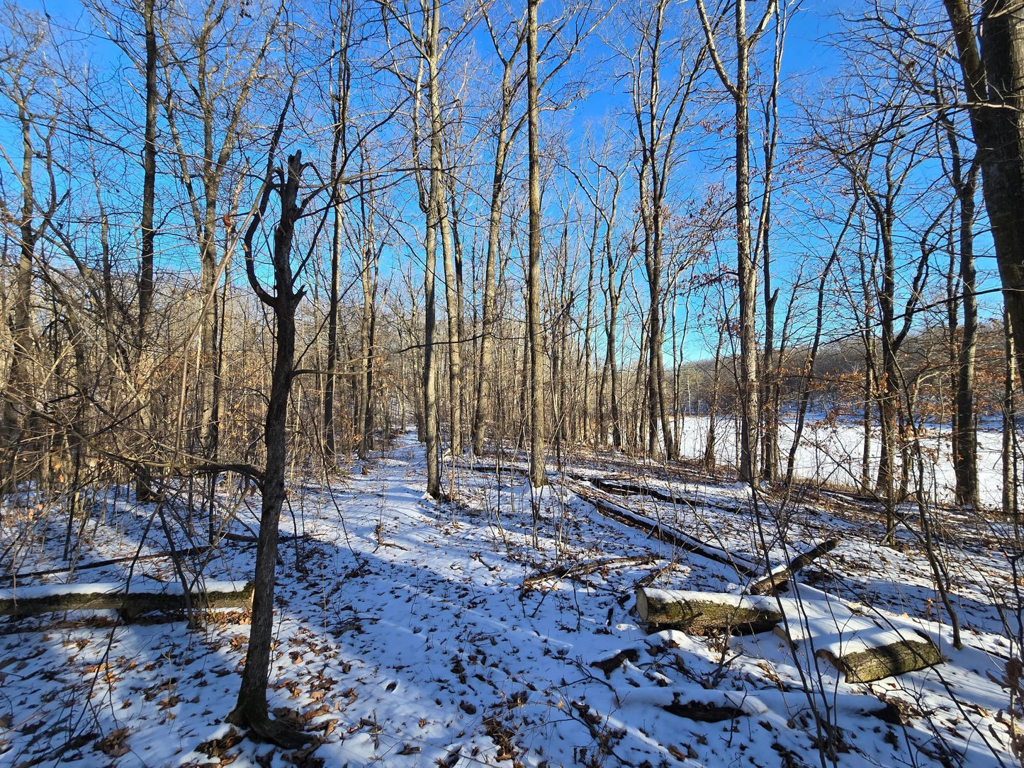 XXX Red Oak Drive, Garrison, MN 56450