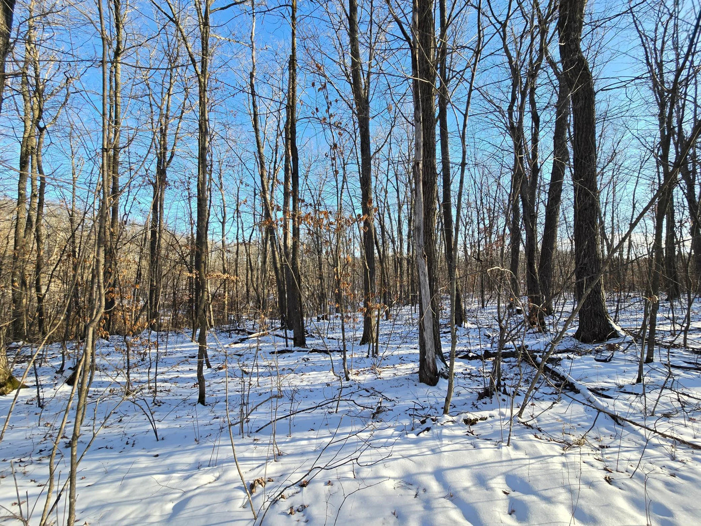 XXX Red Oak Drive, Garrison, MN 56450