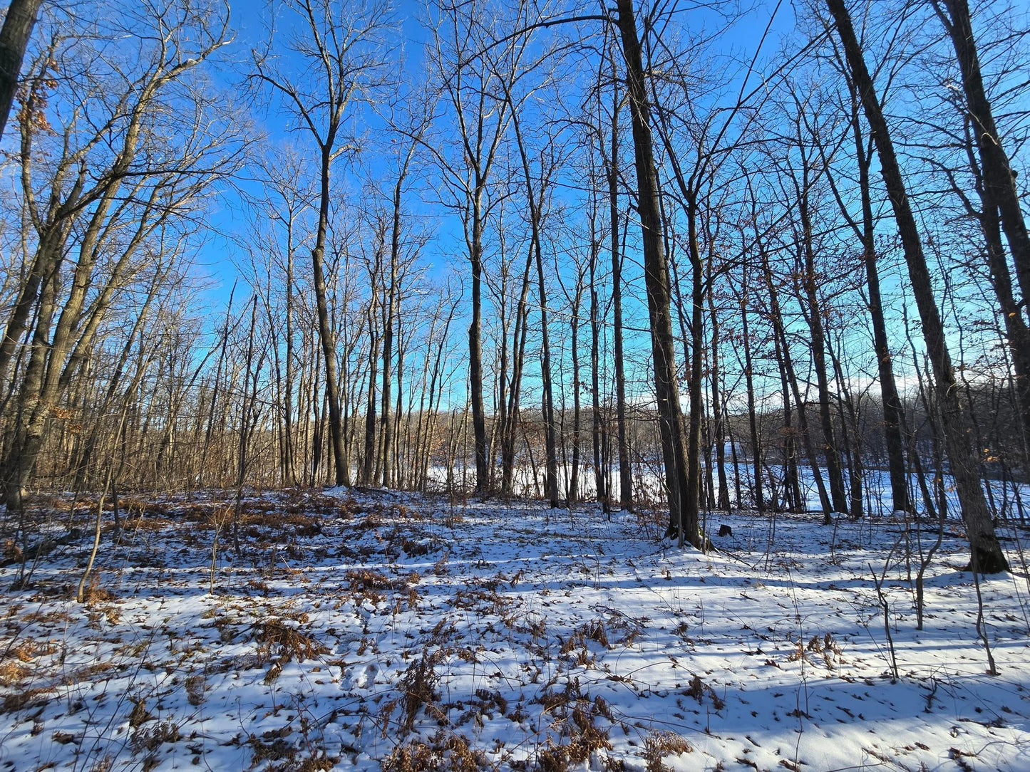 XXX Red Oak Drive, Garrison, MN 56450