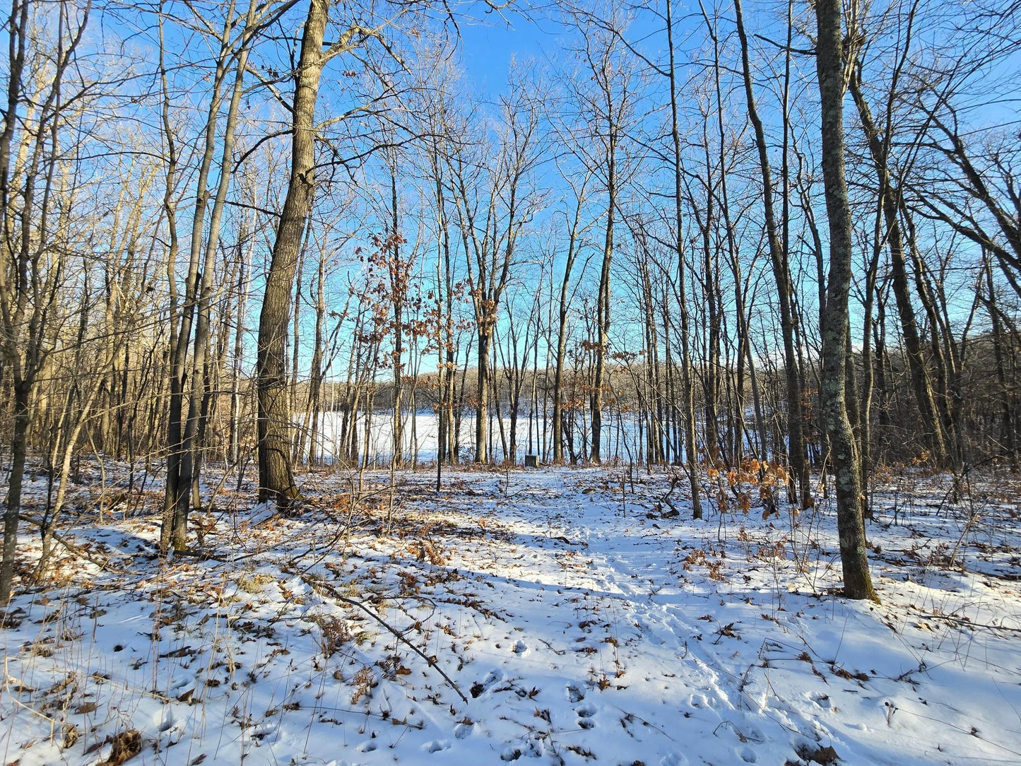 XXX Red Oak Drive, Garrison, MN 56450