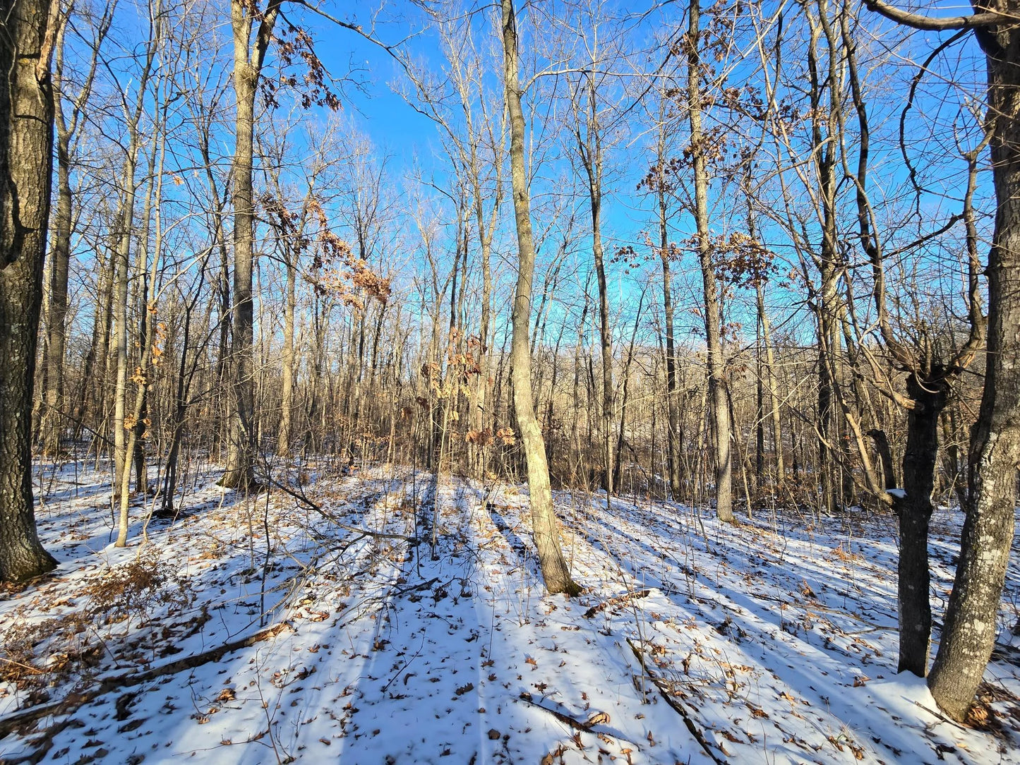 XXX Red Oak Drive, Garrison, MN 56450