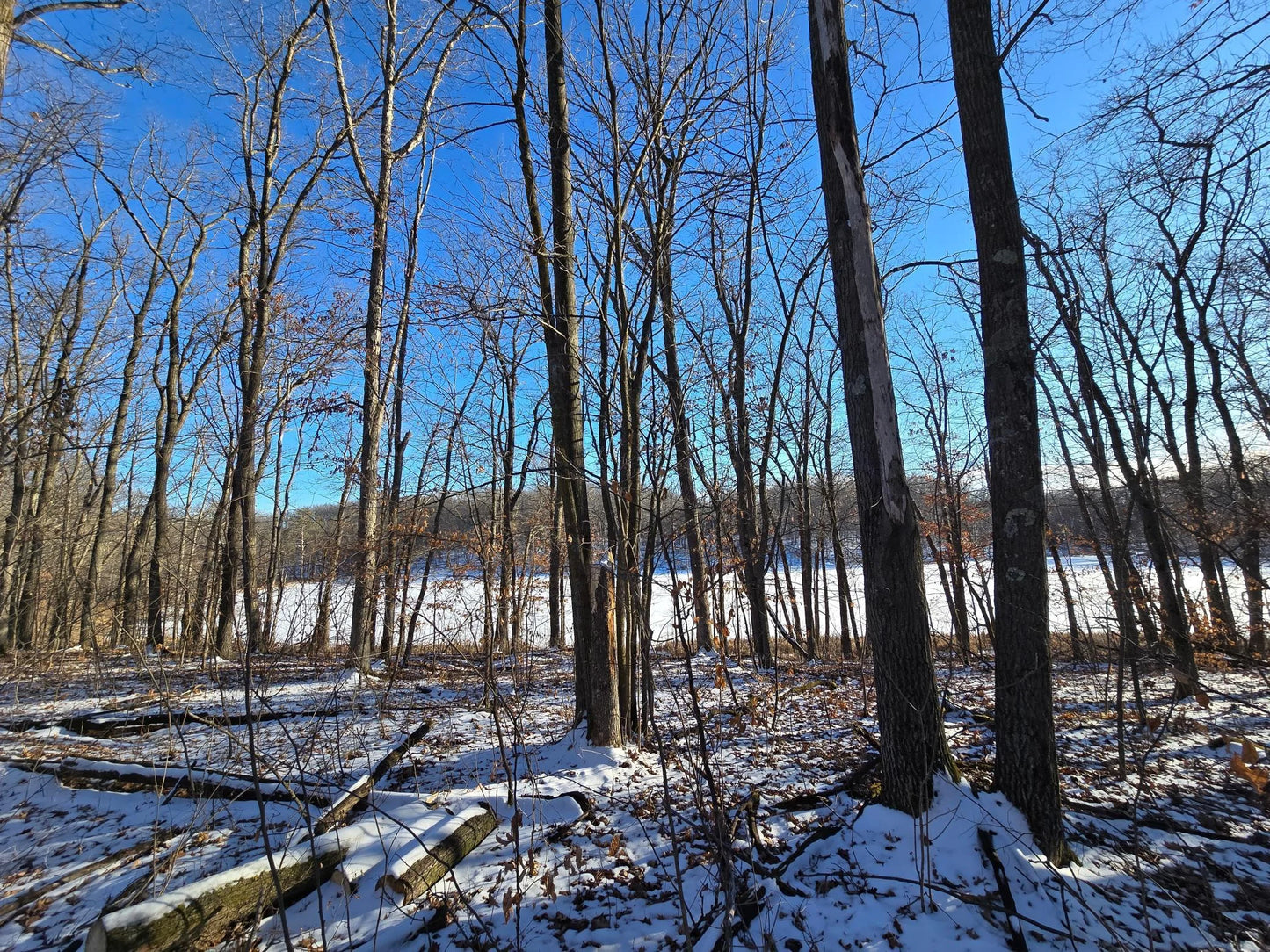 XXX Red Oak Drive, Garrison, MN 56450