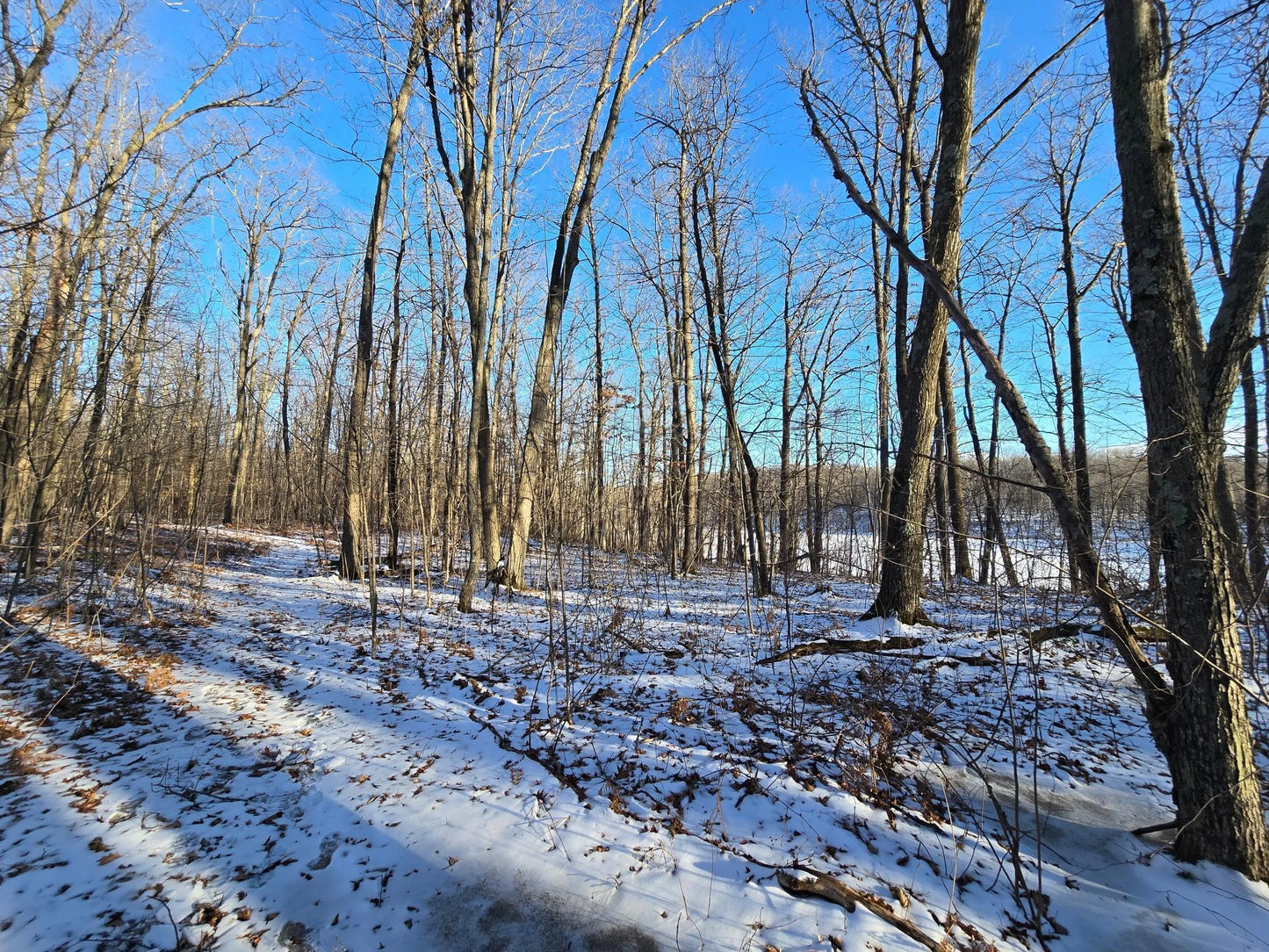 XXX Red Oak Drive, Garrison, MN 56450