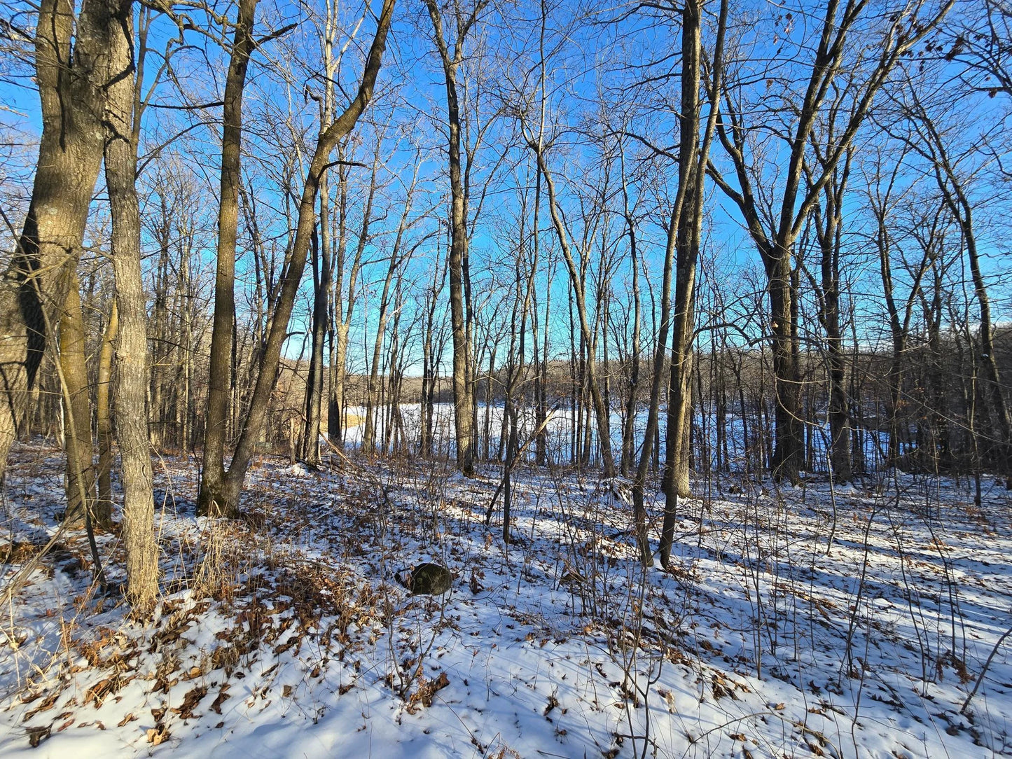 XXX Red Oak Drive, Garrison, MN 56450