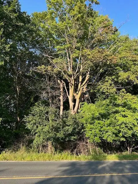 17701 Mushtown Road, Prior Lake, MN 55372