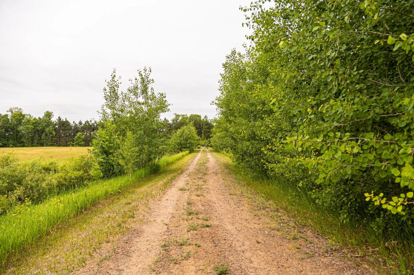 000 Craft Lane, Pokegama Twp, MN 55063