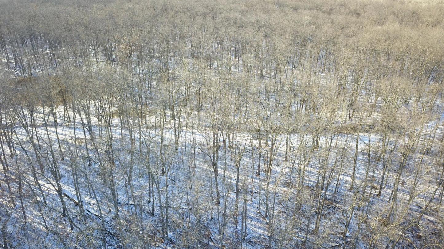 XXX Red Oak Drive, Garrison, MN 56450
