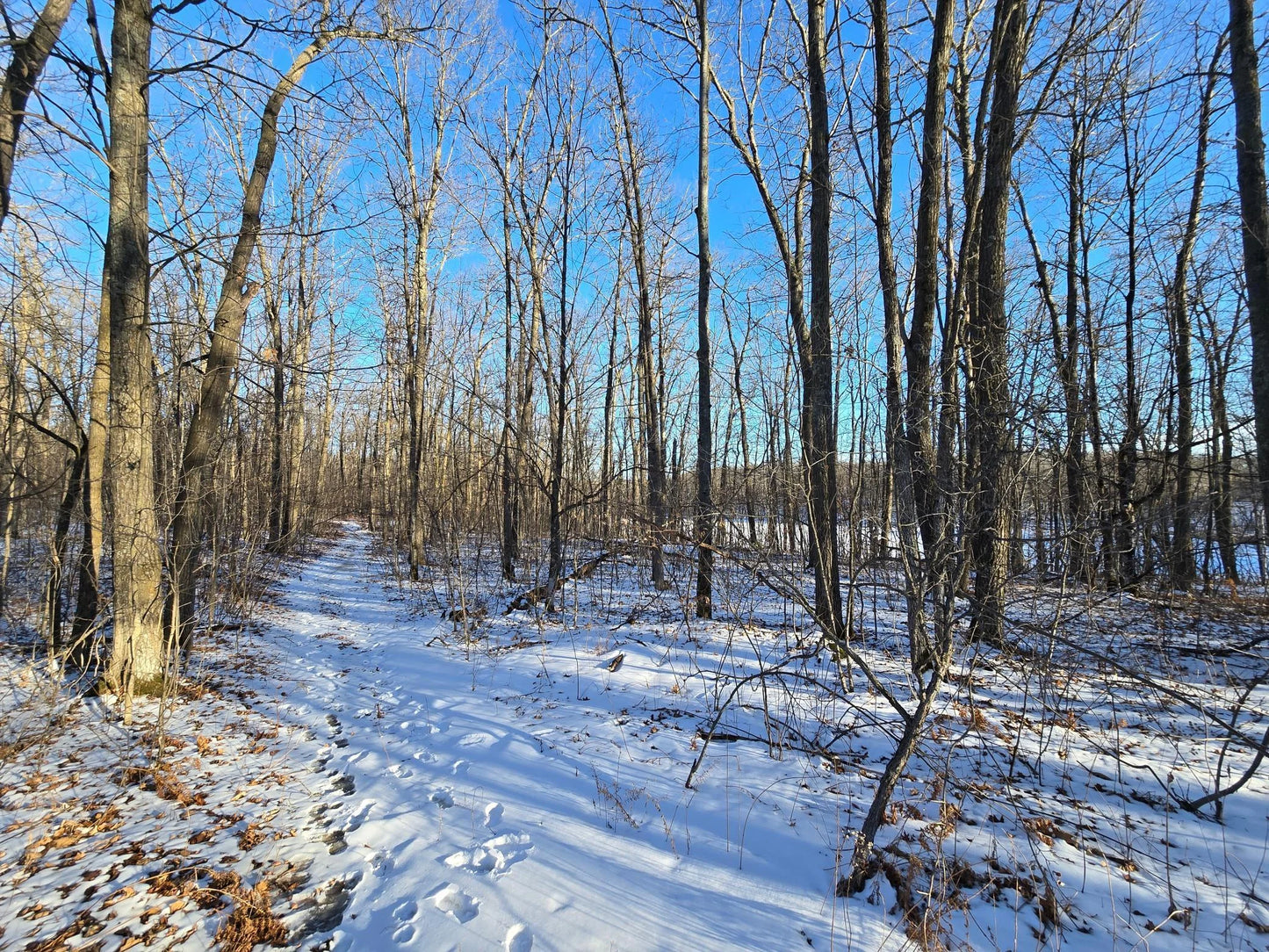 XXX Red Oak Drive, Garrison, MN 56450