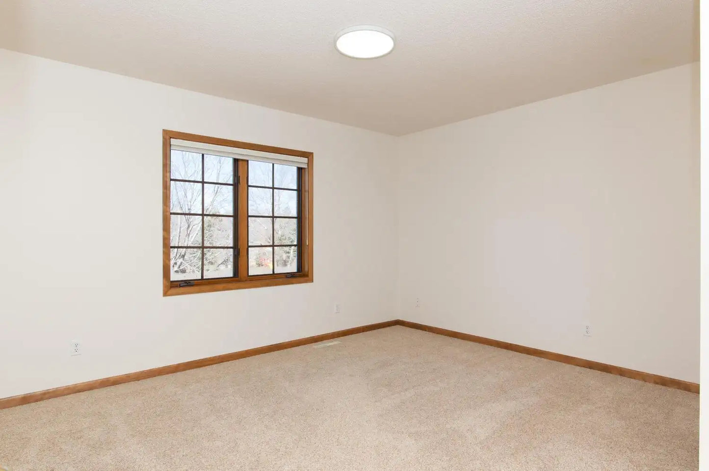 10127 Trotters Path, Eden Prairie, MN 55347