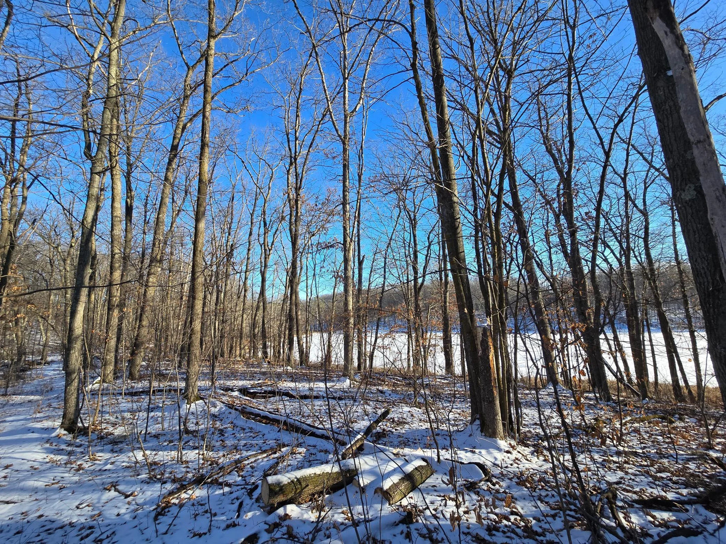 XXX Red Oak Drive, Garrison, MN 56450